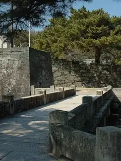 Tokushima Domain