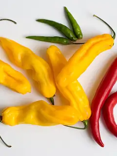Chili pepper
