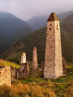 Erzi