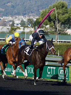 Horse racing