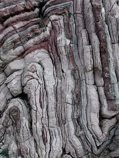 Fold