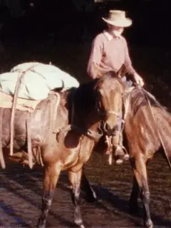 Pack saddle