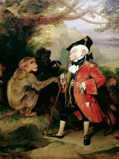 The Monkey Who Had Seen the World