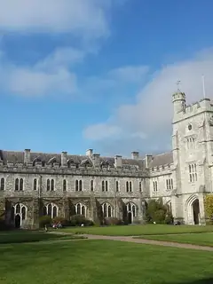 Cork