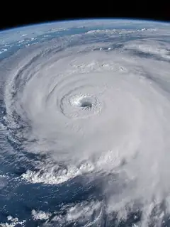 Tropical cyclone