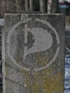 Reverse graffiti