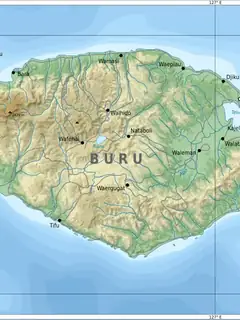Buru