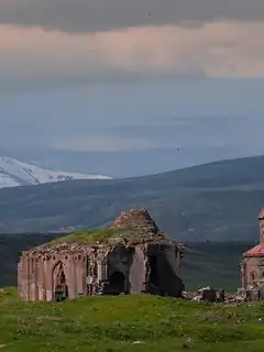 Ani
