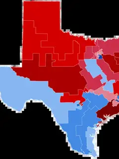 2008 United States House of Representatives elections in Texas
