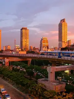 Urban ecosystem