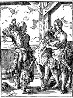 Abattage des animaux de boucherie