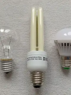Electric light