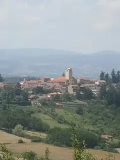 Roannais