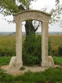 Premier cru