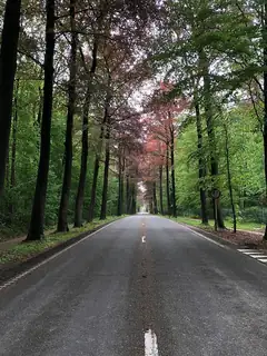 Drève de Lorraine