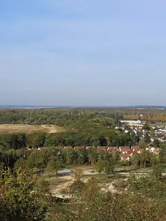 Forêt de Sainte-Apolline