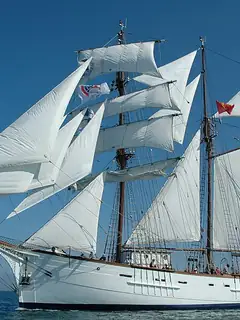 Marité