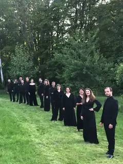 Ensemble Aedes