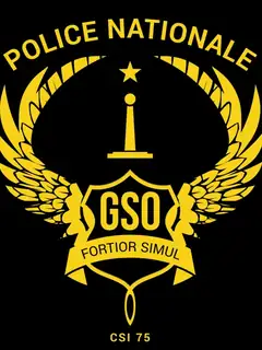 Groupe de soutien opérationnel