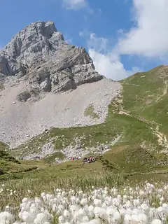 Pointe Blanche