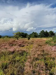 Réserve naturelle régionale Mont des Avaloirs