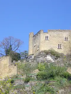 Château de Crémieu