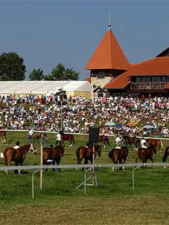 Marché-concours de Saignelégier