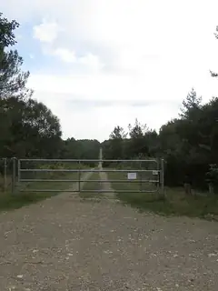 Forêt de Lanouée