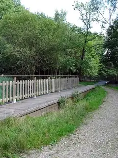 Forêt de Verrières