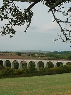 Ligne de Triguères à Surgy