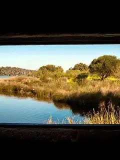 Sidi-Boughaba