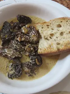 Croûte aux morilles