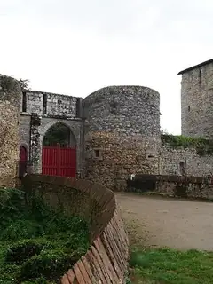 Vieux-château des Essarts