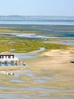 Cabane tchanquée