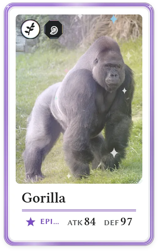 Gorilla, Epic, ATK 84, DEF 97