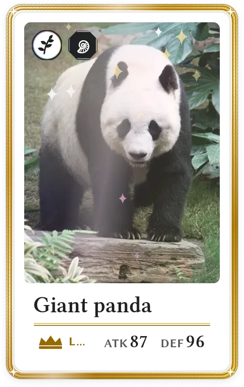 Giant panda, Legendary, ATK 87, DEF 96