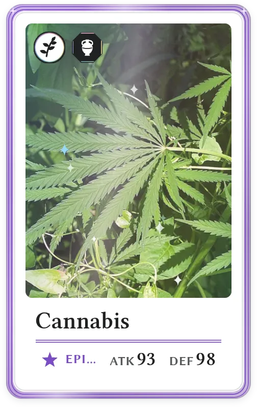 Cannabis, Epic, ATK 93, DEF 98