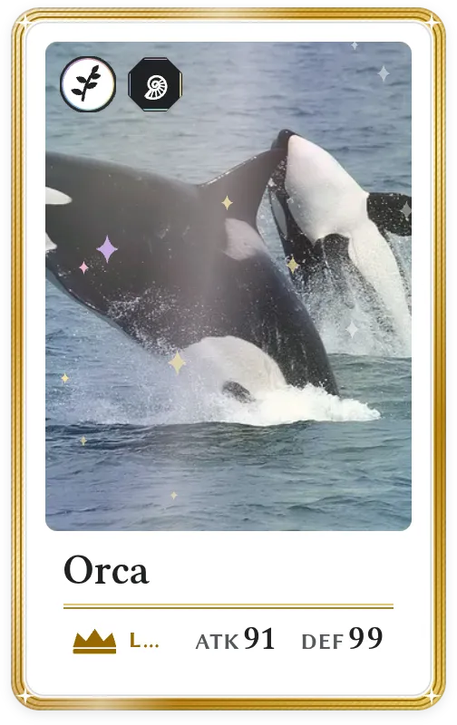 Orca, Legendary, ATK 91, DEF 99