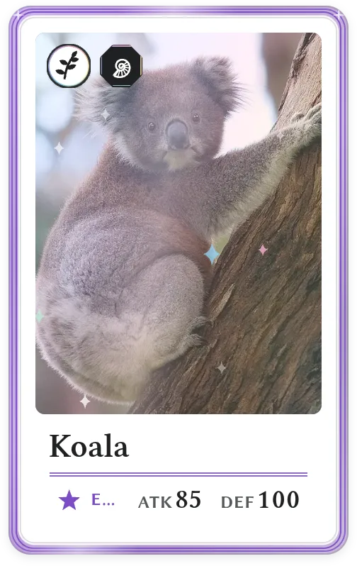 Koala, Epic, ATK 85, DEF 100
