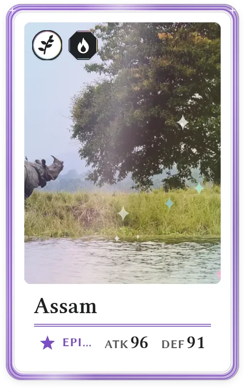 Assam, Epic, ATK 96, DEF 91