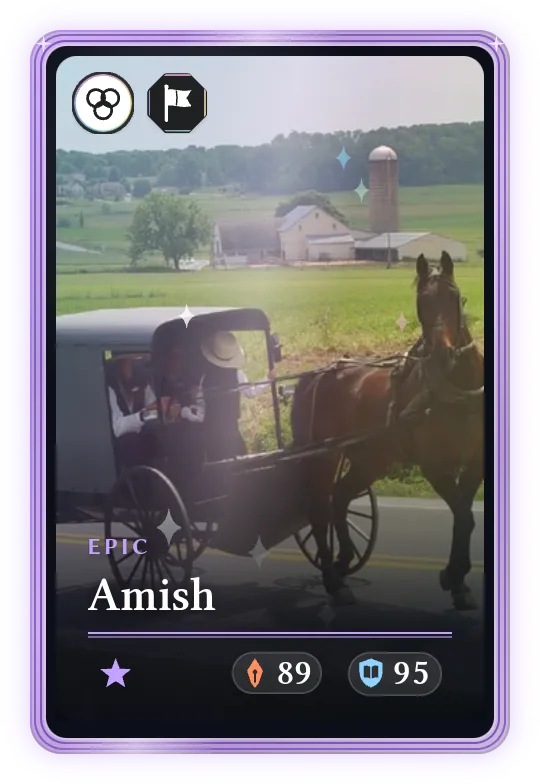 Amish, Epic, ATK 89, DEF 95