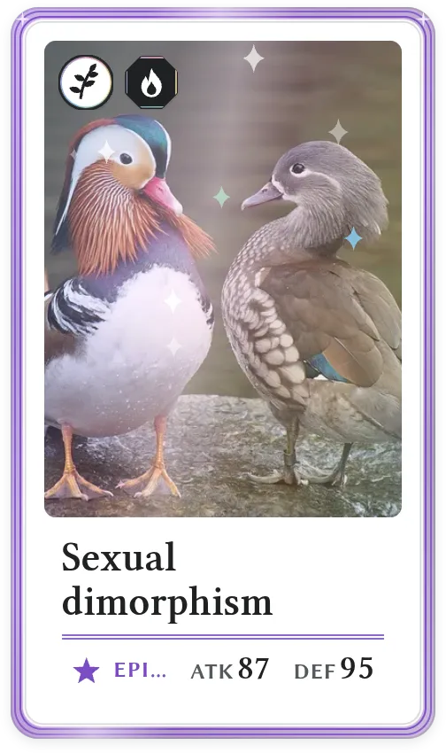 Sexual dimorphism, Epic, ATK 87, DEF 95