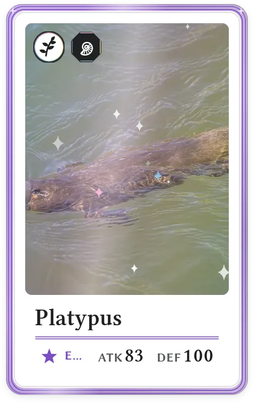 Platypus, Epic, ATK 83, DEF 100
