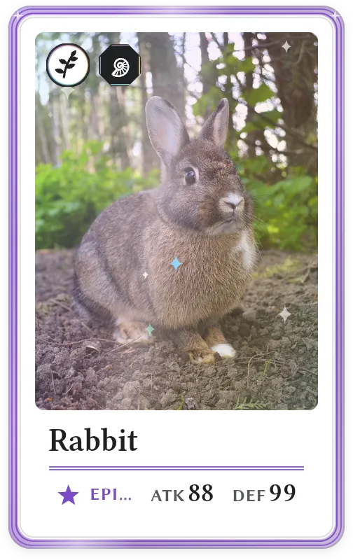 Rabbit, Epic, ATK 88, DEF 99