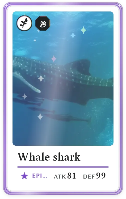 Whale shark, Epic, ATK 81, DEF 99