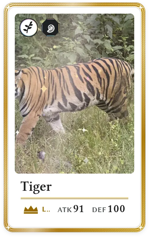 Tiger, Legendary, ATK 91, DEF 100