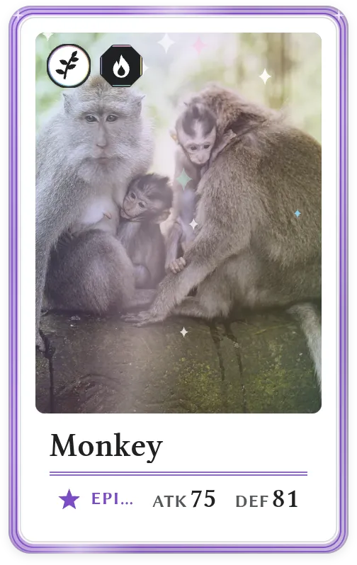 Monkey, Epic, ATK 75, DEF 81