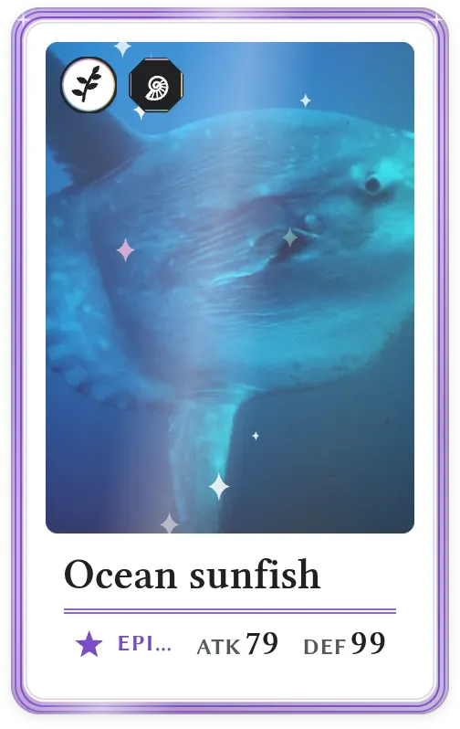 Ocean sunfish, Epic, ATK 79, DEF 99