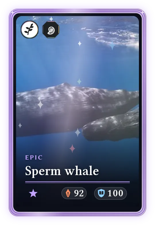 Sperm whale, Epic, ATK 92, DEF 100