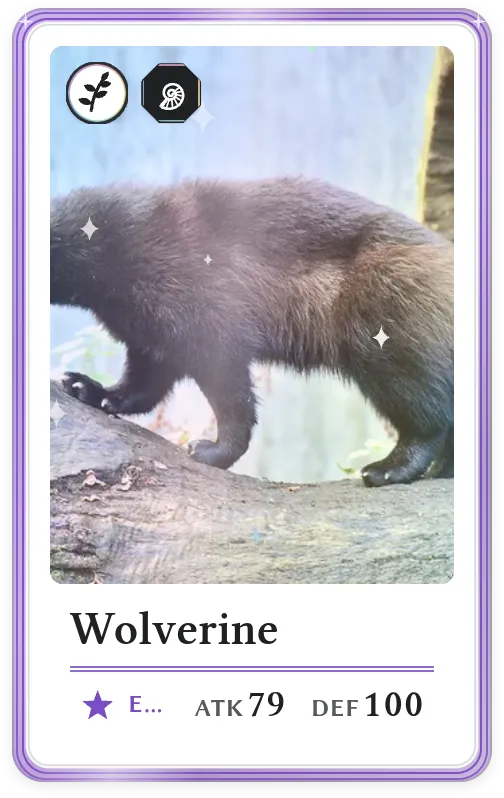 Wolverine, Epic, ATK 79, DEF 100